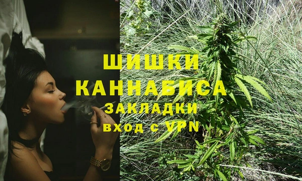 крисы Балахна