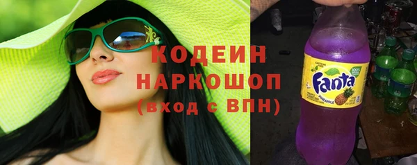 индика Балабаново