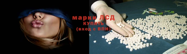 индика Балабаново