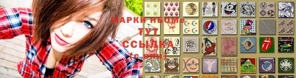индика Балабаново