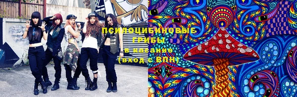 крисы Балахна