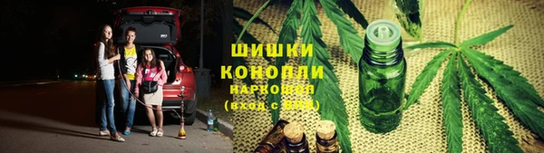 индика Балабаново