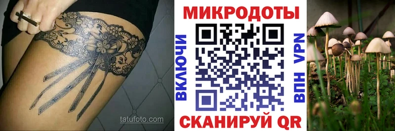 Галлюциногенные грибы Magic Shrooms  Макарьев 